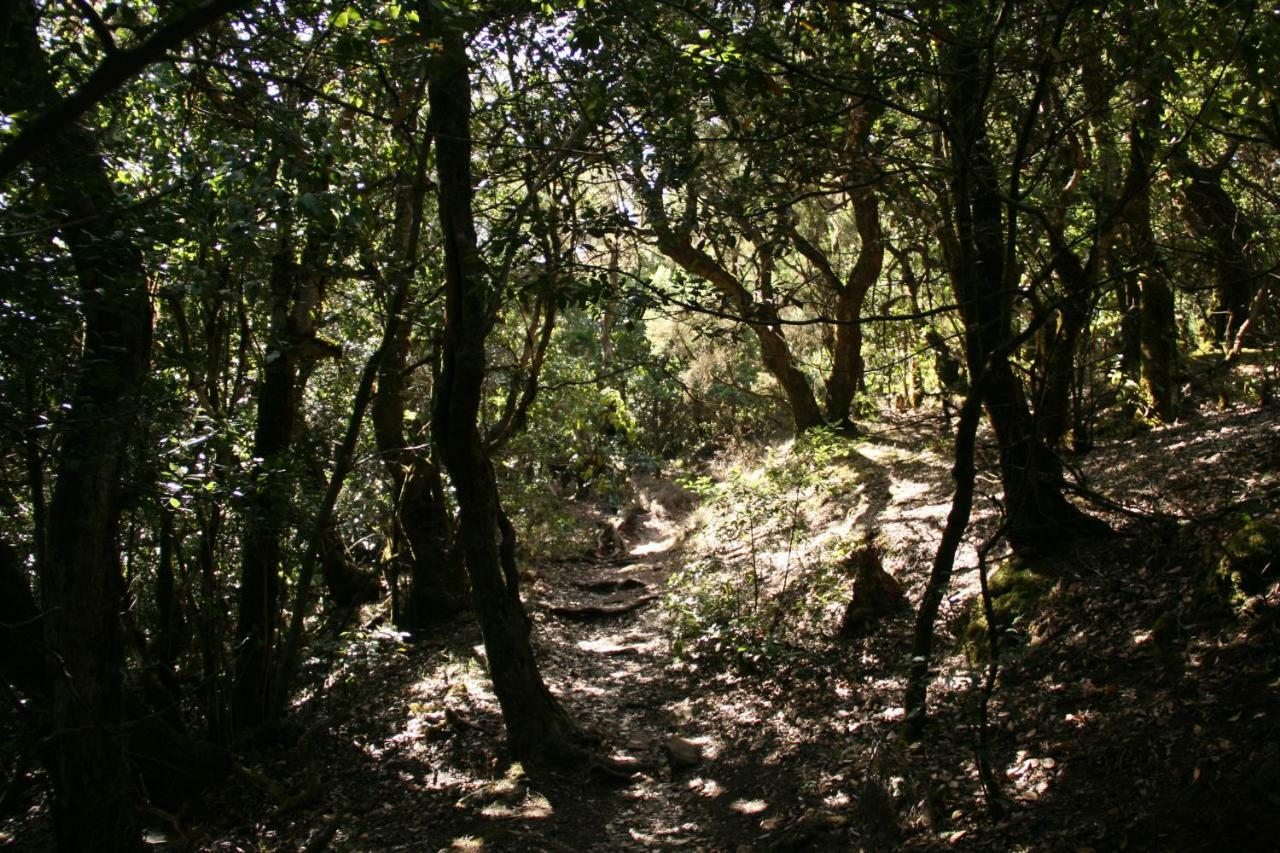 El Sabinar Βίλα Vallehermoso Εξωτερικό φωτογραφία